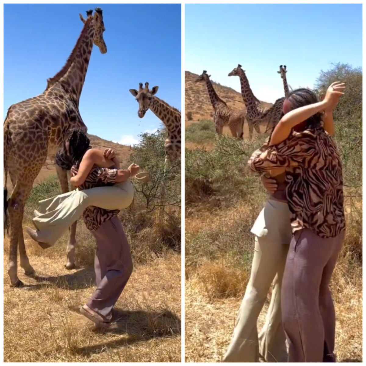 Ce veste neașteptată pentru vedeta noastră! S-a logodit după doi ani de relație, iar cererea în căsătorie a avut loc într-un safari în Tanzania. Video